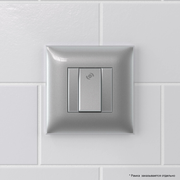 Диммер кнопочный в стену для LED ламп, "Avanti", "Закаленная сталь"