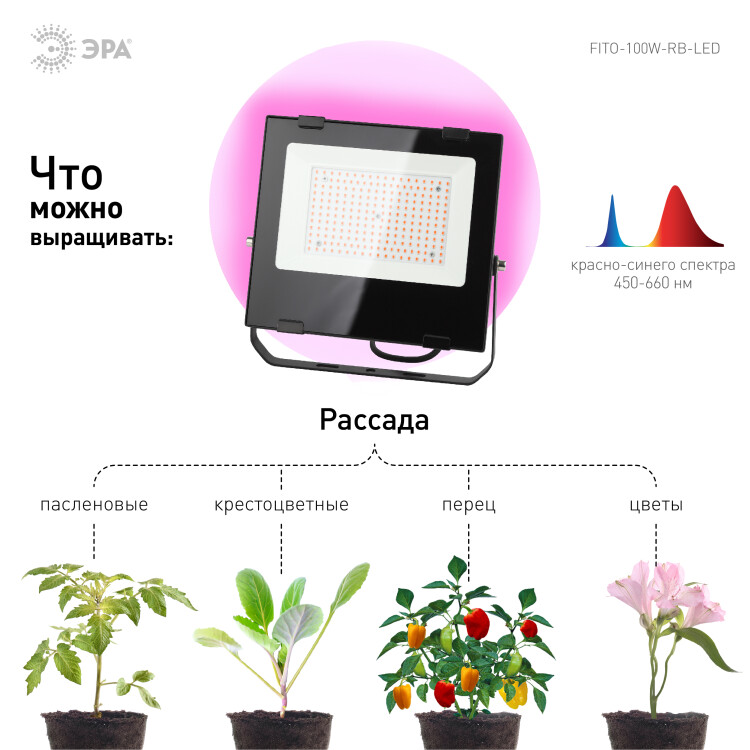 Прожектор Fito (LED) 100Вт 160 мкмоль/с 440:660нм 1200К рассада IP65 ЭРА