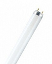 Лампа люмин. трубч. T8  600мм G13 18Вт 1050лм 6500К (цветоперед. >=70%) OSRAM (г. Смоленск)-Лампы люминесцентные - купить по низкой цене в интернет-магазине, характеристики, отзывы | АВС-электро